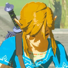 Link (BOTW) Link (BOTW)